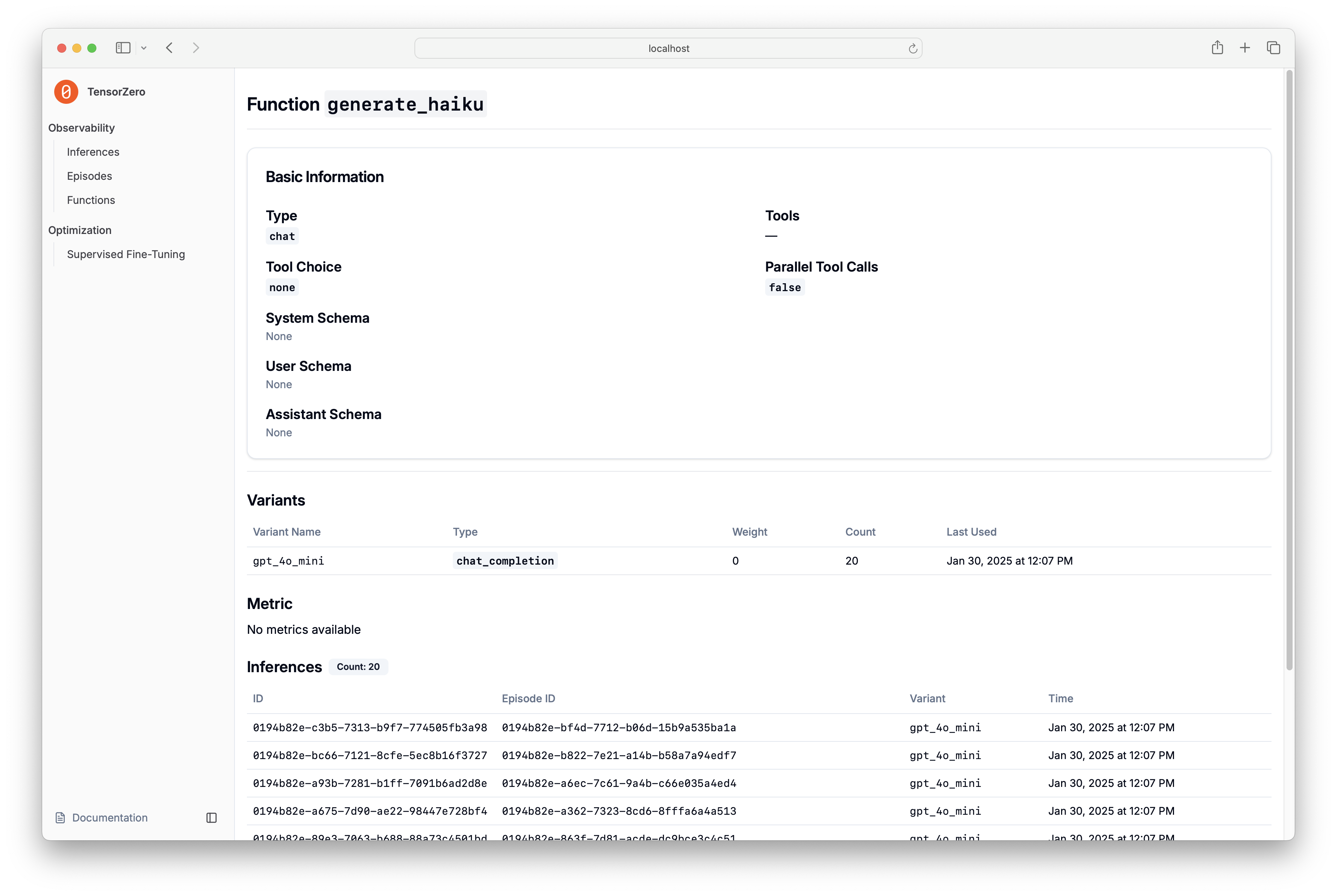 TensorZero UI Observability - Function Detail Page - Screenshot